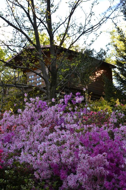 Zahrada ubytování Eco-Resort Parco Botanico Fiorlago