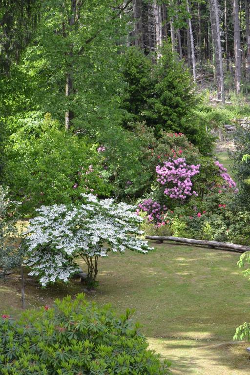 Zahrada ubytování Eco-Resort Parco Botanico Fiorlago