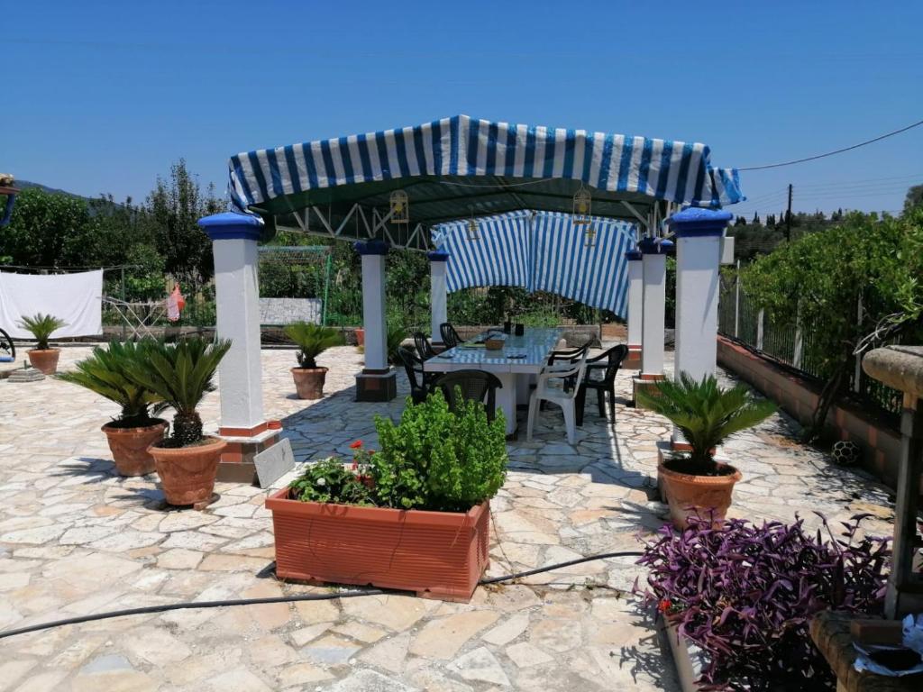 Zahrada ubytování Villa Facen