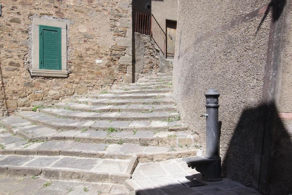 eine Steintreppe neben einem Gebäude mit grüner Tür in der Unterkunft antica abitazione con vista montagna Casa Norma in Seggiano