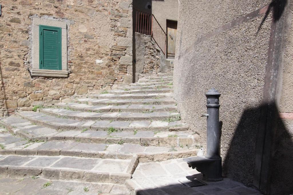 セッジャーノにあるantica abitazione con vista montagna Casa Normaの緑の扉のある建物の隣にある石段