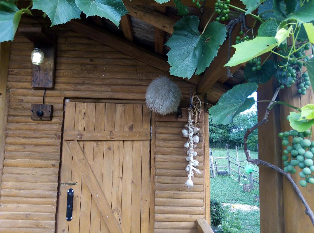Fotografie z fotogalerie ubytování Tiny houses Genacvale v destinaci Martvili