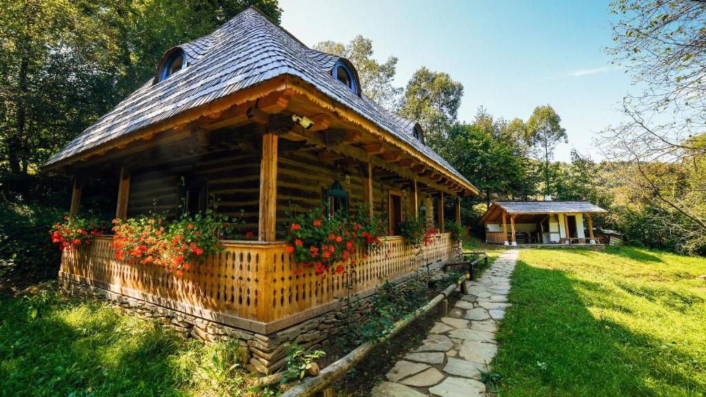 a house with flowers on the front of it at Casa lu' Ion in Vişeu de Sus