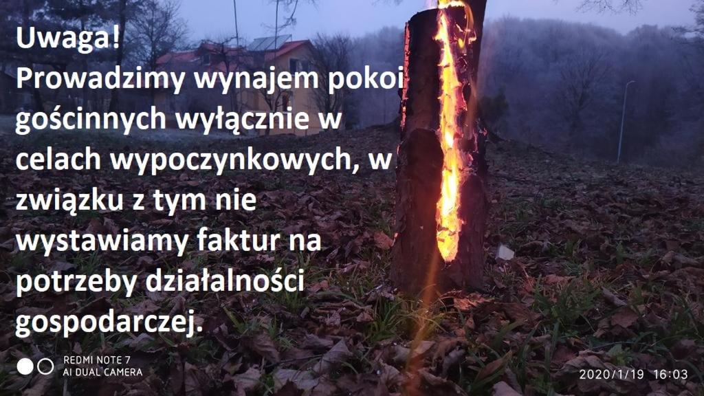 plakat drzewa na polu w obiekcie Apartament w domu na wsi w mieście Tomaszów Lubelski