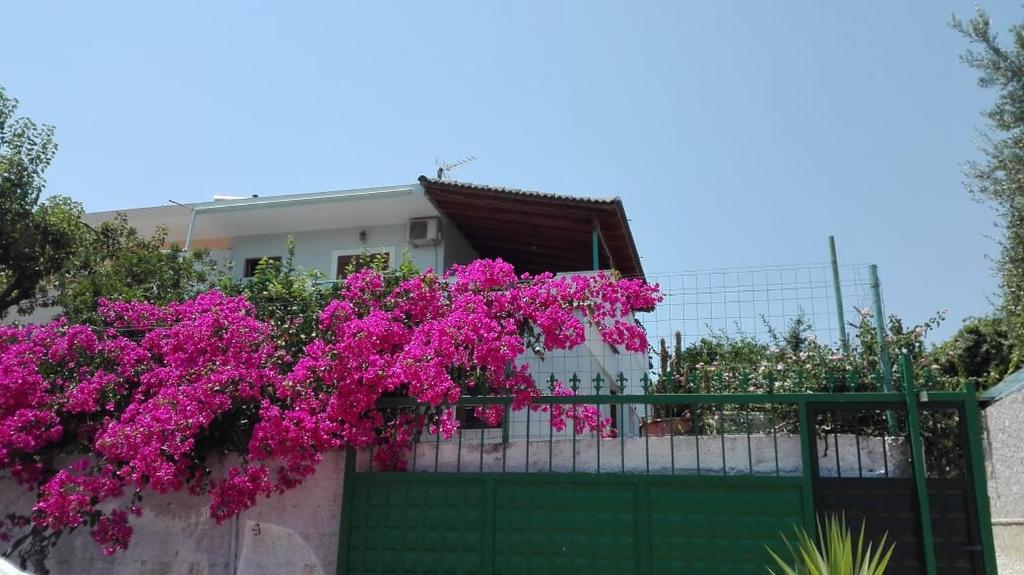 Baci Apartments - Image 8