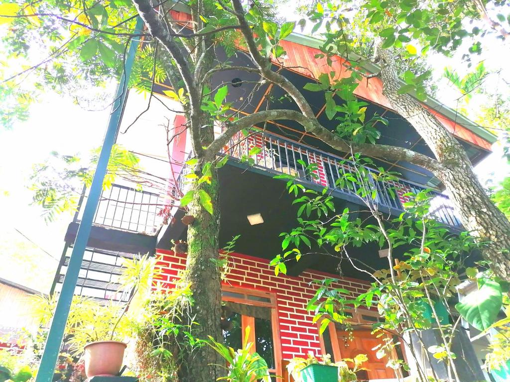 ein rotes Backsteinhaus mit einem Baum davor in der Unterkunft Summer Villa Ella in Ella
