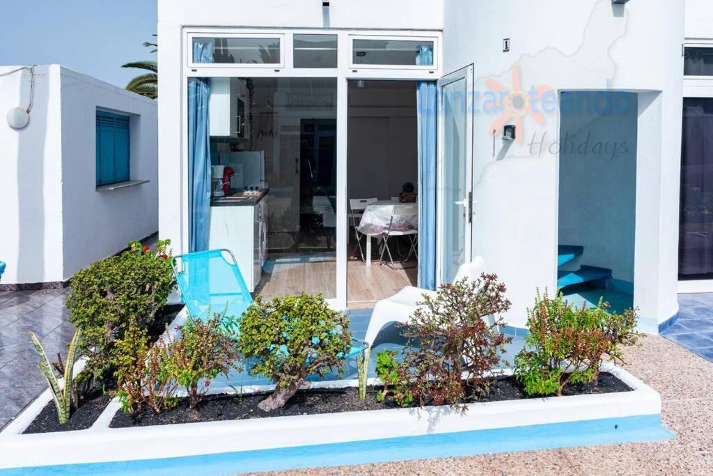 A garden outside Vivienda Vacacional 1 Residence Los Delfines Blue Lagoon