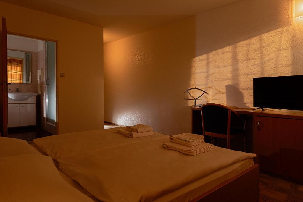 Postel nebo postele na pokoji v ubytování Hotel Slezan