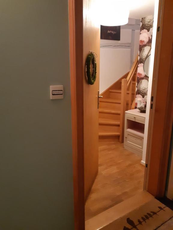 Margot - hyper centre Colmar – photo 12