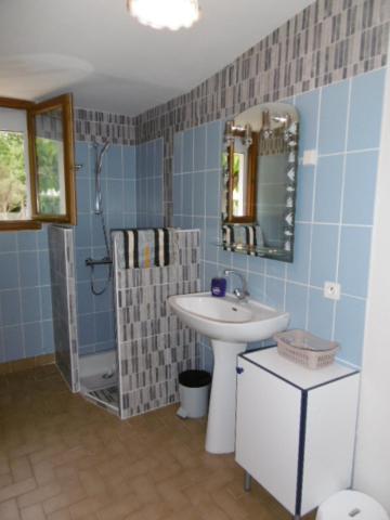 a blue tiled bathroom with a sink and a shower at La maison de Valette in Saint-Julien-sur-Cher