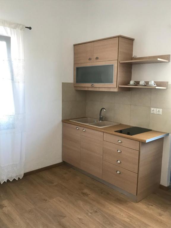 Kuchyň nebo kuchyňský kout v ubytování Vegera Apartment 'Sofrano', Stavros Donoussa