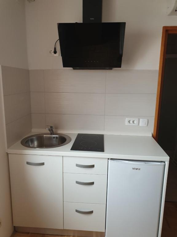 Kuchyň nebo kuchyňský kout v ubytování Apartments and rooms Novigrad 1624