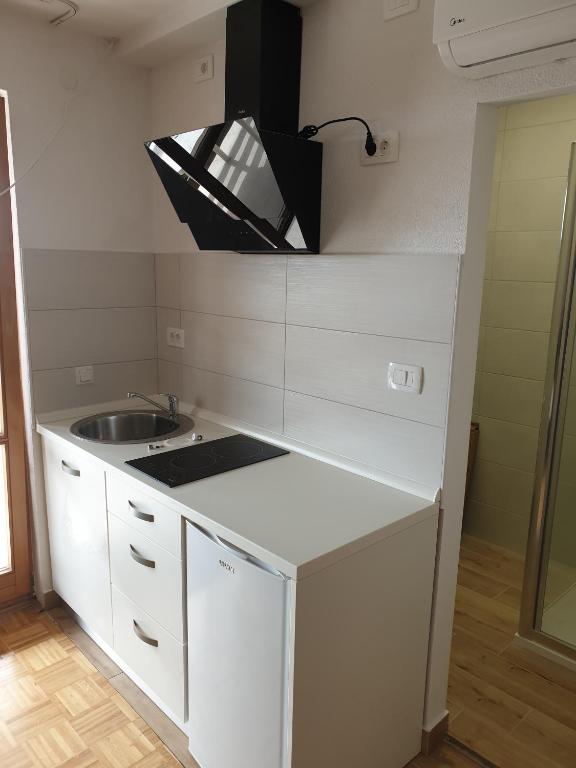 Kuchyň nebo kuchyňský kout v ubytování Apartments and rooms Novigrad 1624