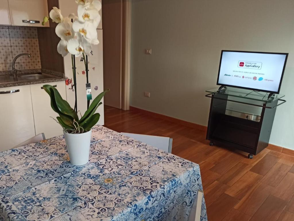 Televízia a/alebo spoločenská miestnosť v ubytovaní A due passi dal castello
