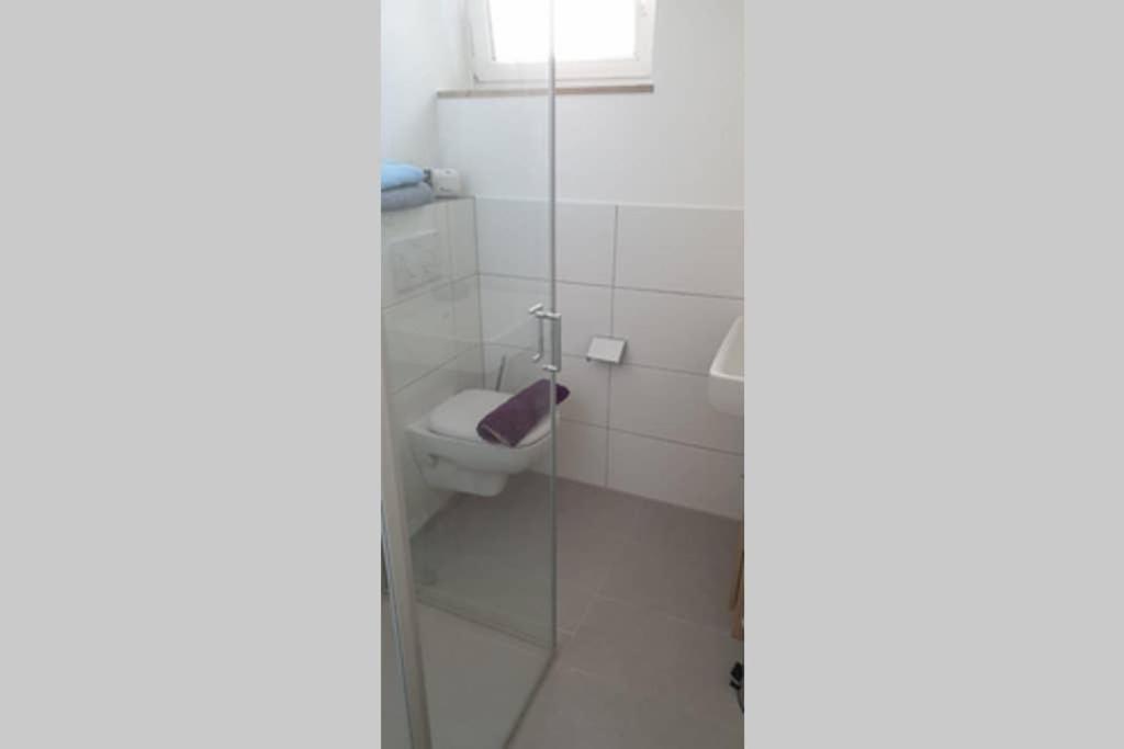 La salle de bains est pourvue de toilettes et d'une porte de douche en verre. dans l'établissement Ferienwohnung Charlotte Seebrise, à Friedrichshafen