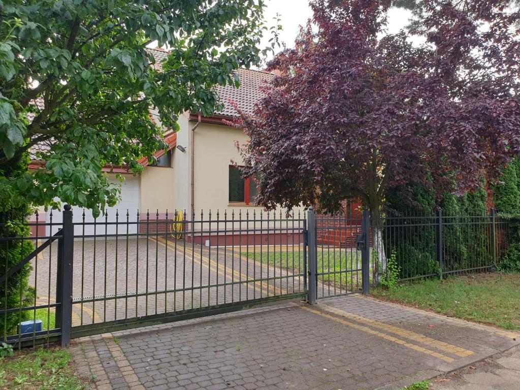 Messina Apartamenty Wyspa Sobieszewska - 14