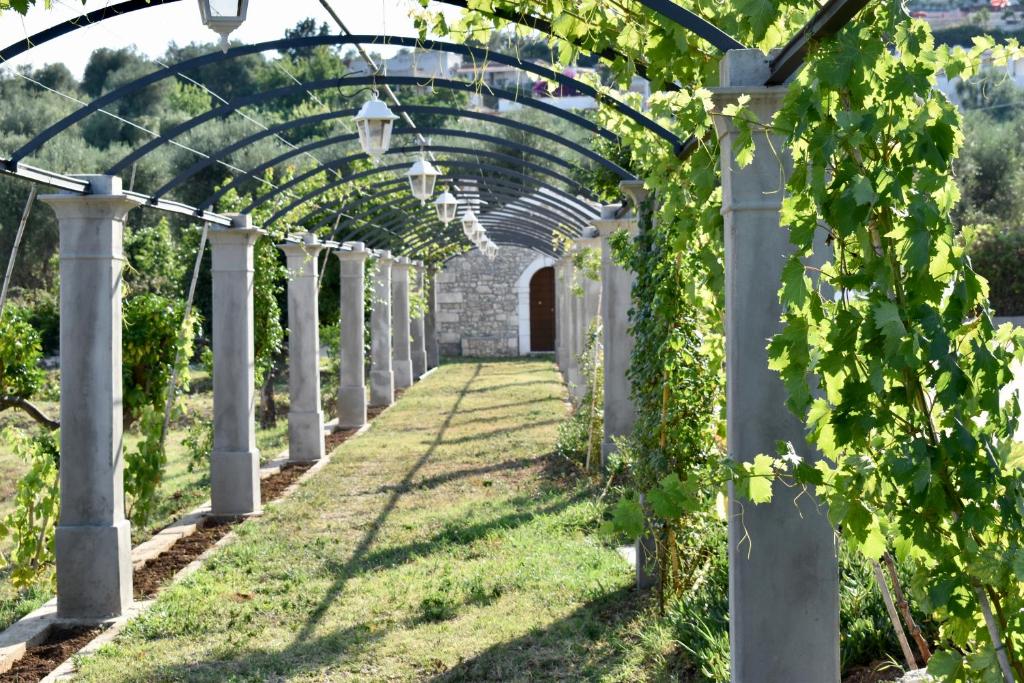 Zahrada ubytování Hotel Puglia Garden