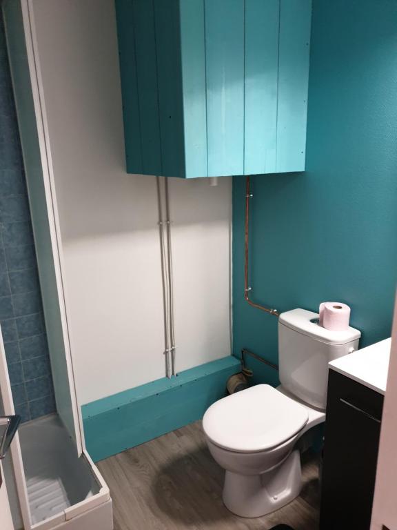 a bathroom with a toilet and a blue cabinet at Studio refait à neuf in Saint-Jean-Saint-Nicolas