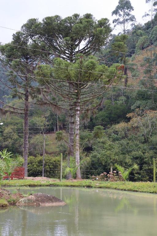  Caminhos da Serra do Tabuleiro - Chalé do Lago