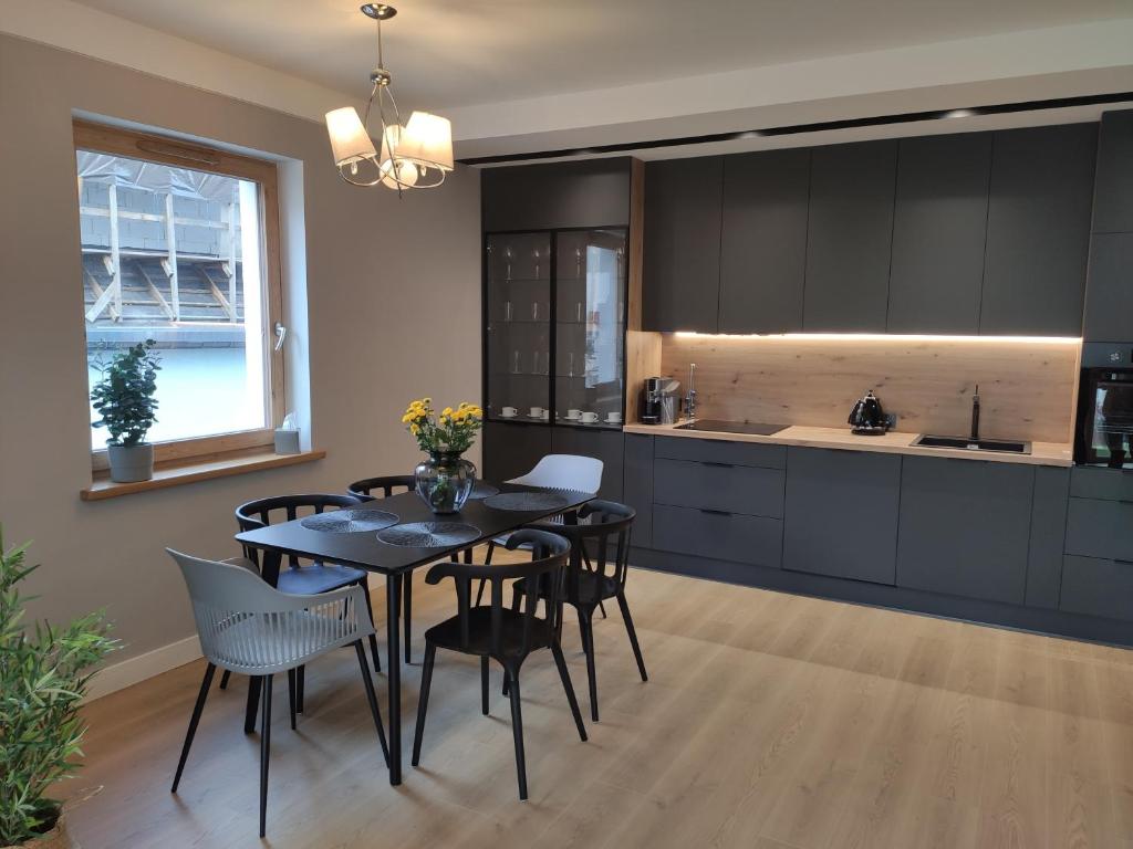 Kuchyňa alebo kuchynka v ubytovaní Masuria Apartaments Ełk Nadjeziorna