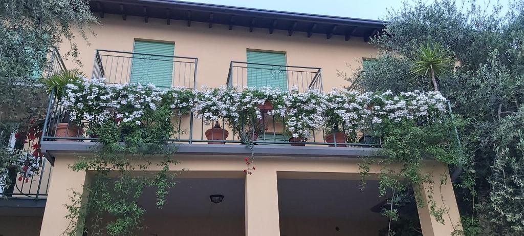Balkón nebo terasa v ubytování Hotel Casa Popi