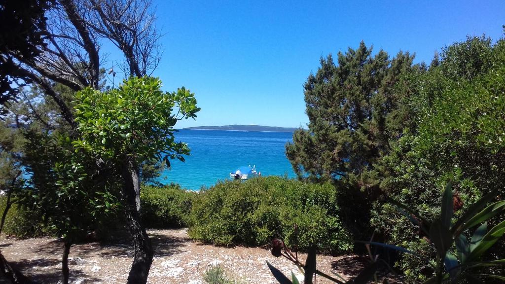 a view of the ocean through the trees at Casula Mediterranea in Mali Lošinj