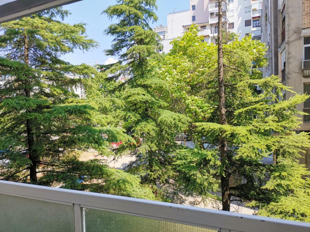 Clock tower apartments - 6