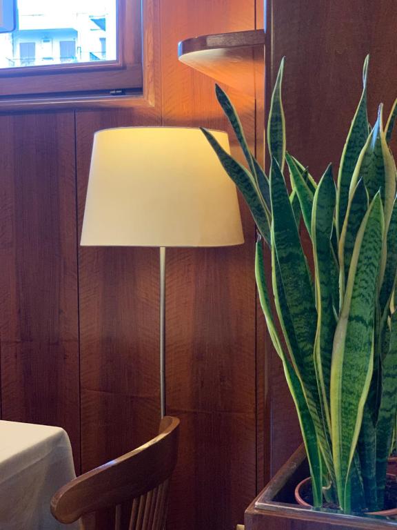 Kép Hotel Apeneste szállásáról Mattinatában a galériában