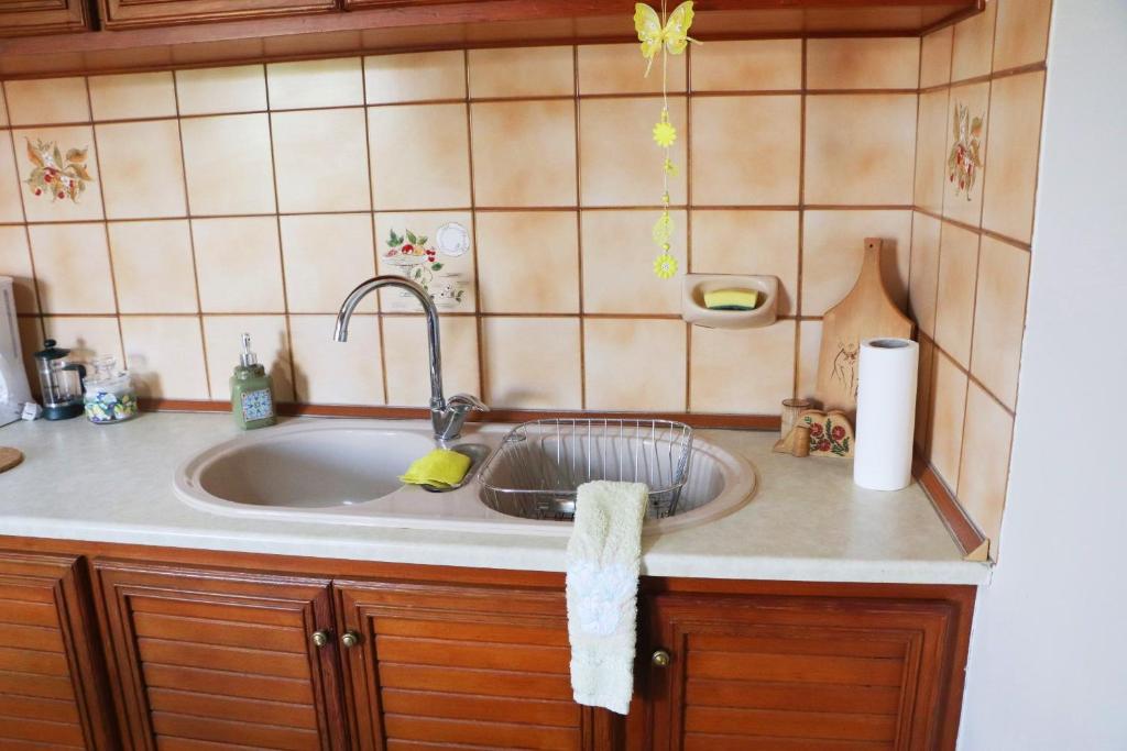 Kuchnia lub aneks kuchenny w obiekcie Meteoron Guesthouse