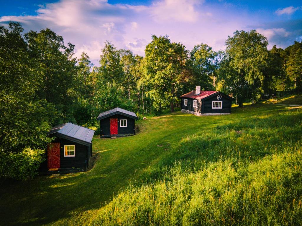 Trois petites maisons dans un champ herbeux planté d'arbres dans l'établissement Ljoshaugen Camping, à Dombås