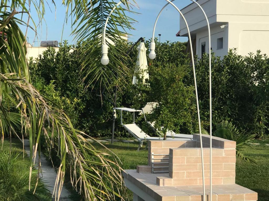 Vonkajšia záhrada v ubytovaní Green space