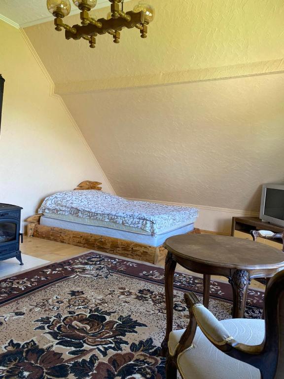 TV a/nebo společenská místnost v ubytování Camping Nad Karpatamy SPA