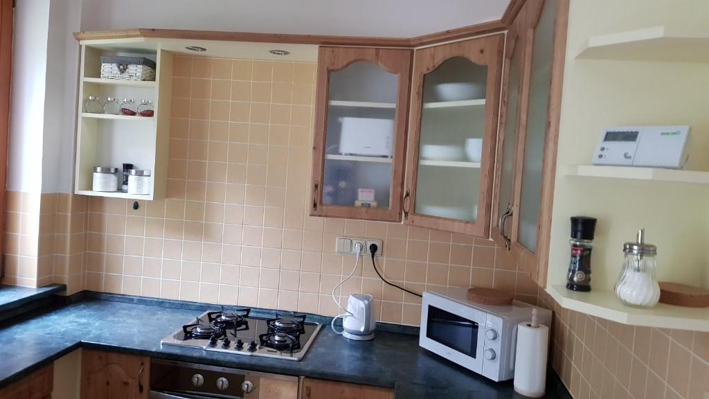 Kuchyňa alebo kuchynka v ubytovaní Apartmán Pod Zámkem