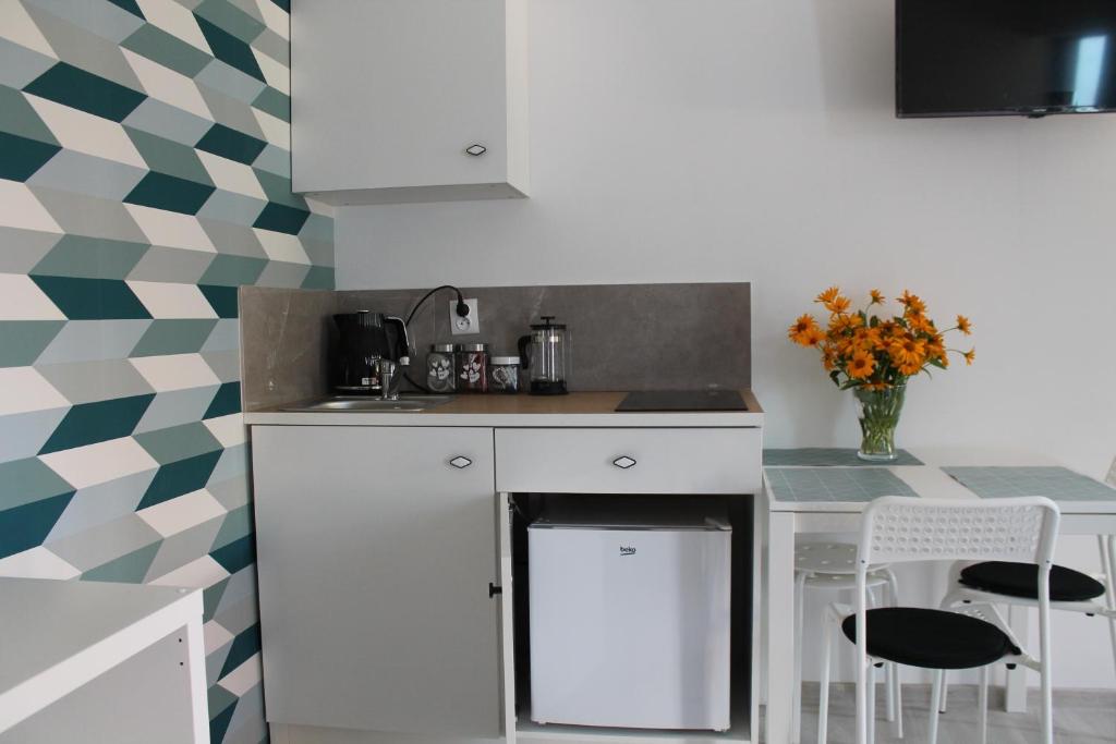 Kuchyňa alebo kuchynka v ubytovaní Apartamenty jednopokojowe Aksamitka