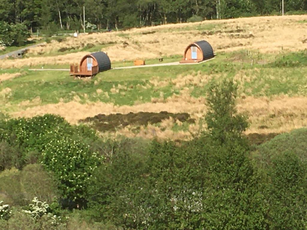 two domes on top of a grassy hill with trees at kilcamb camping Pods in Edinbane