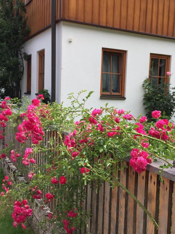 Vonkajšia záhrada v ubytovaní Appartement Emilia