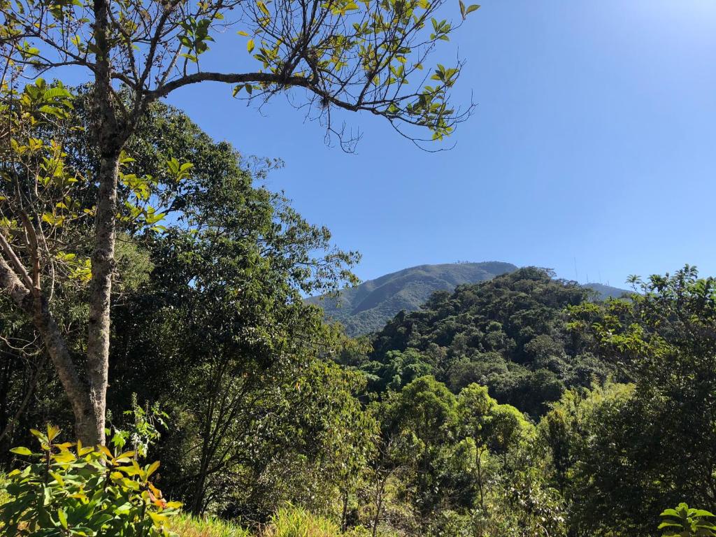 einen Blick auf einen Wald mit Bergen im Hintergrund in der Unterkunft O Silêncio que Canta in Águas de Lindóia