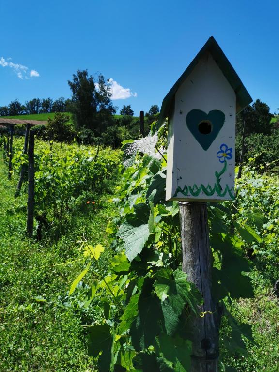 A garden outside Agriturismo Mondo
