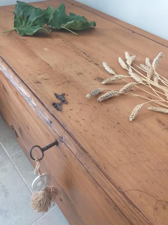 Kép I trulli del fattore szállásáról Locorotondóban a galériában