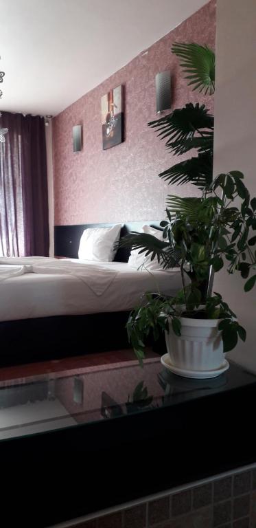 Guest Rooms Tivona - Habitación Triple De Lujo