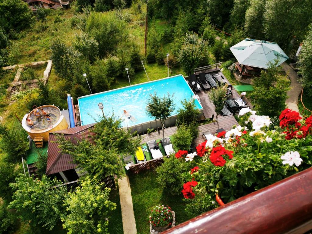 an aerial view of a swimming pool and flowers at Vila Alunis in Buşteni