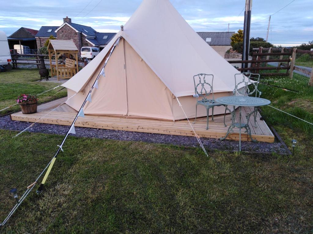 Stargazer Bell Tent - Pen Cefn Farm, Abergele, Conwy