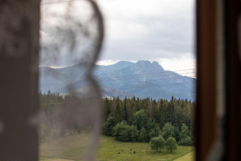 Príroda v okolí apartmánu