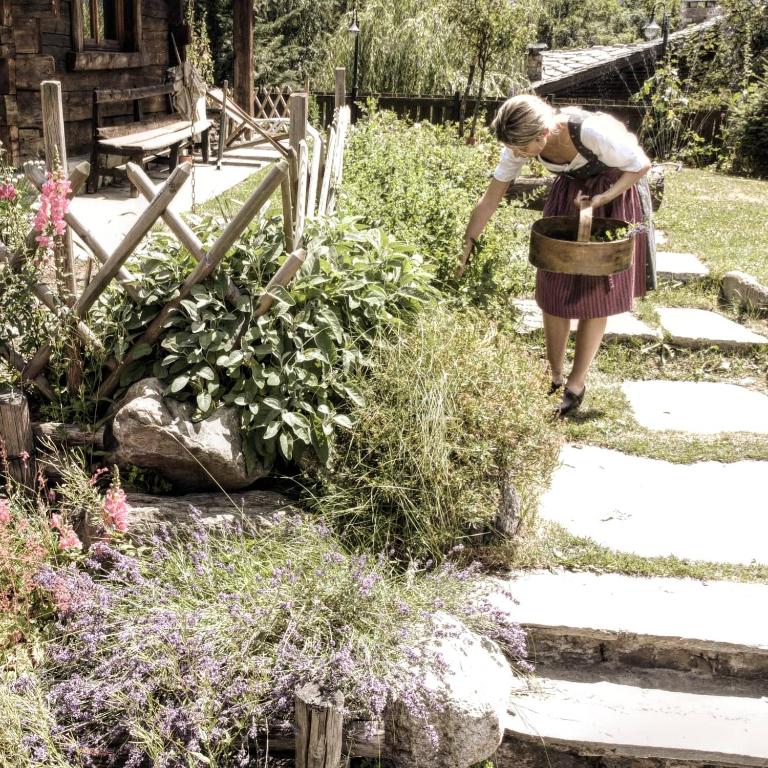 Zahrada ubytování Chalet Svizzero