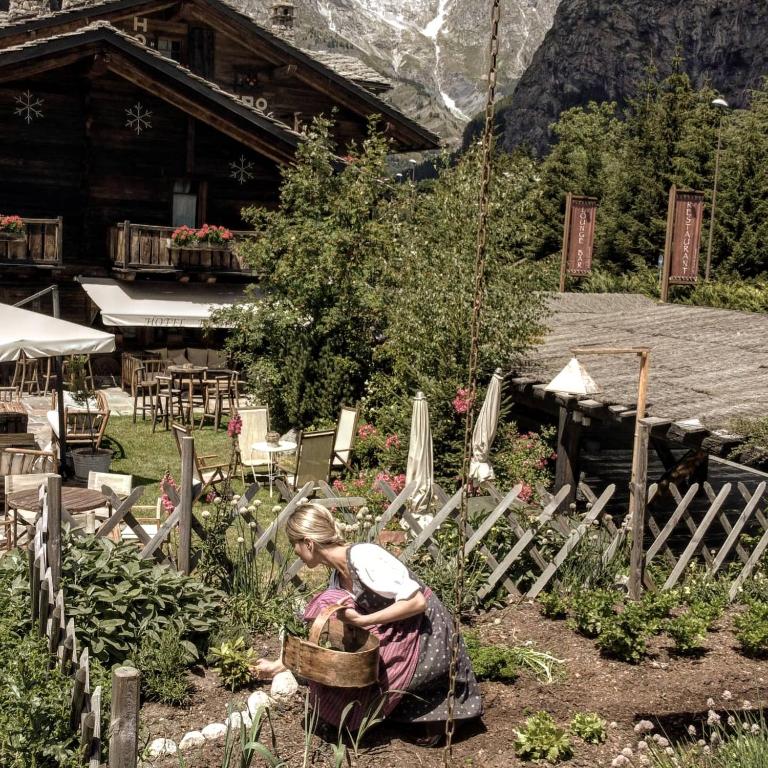 Zahrada ubytování Chalet Svizzero