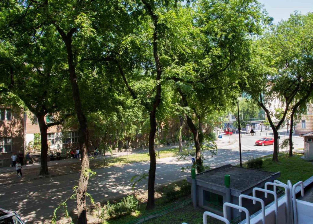 Zahrada ubytování Apartman Petreš