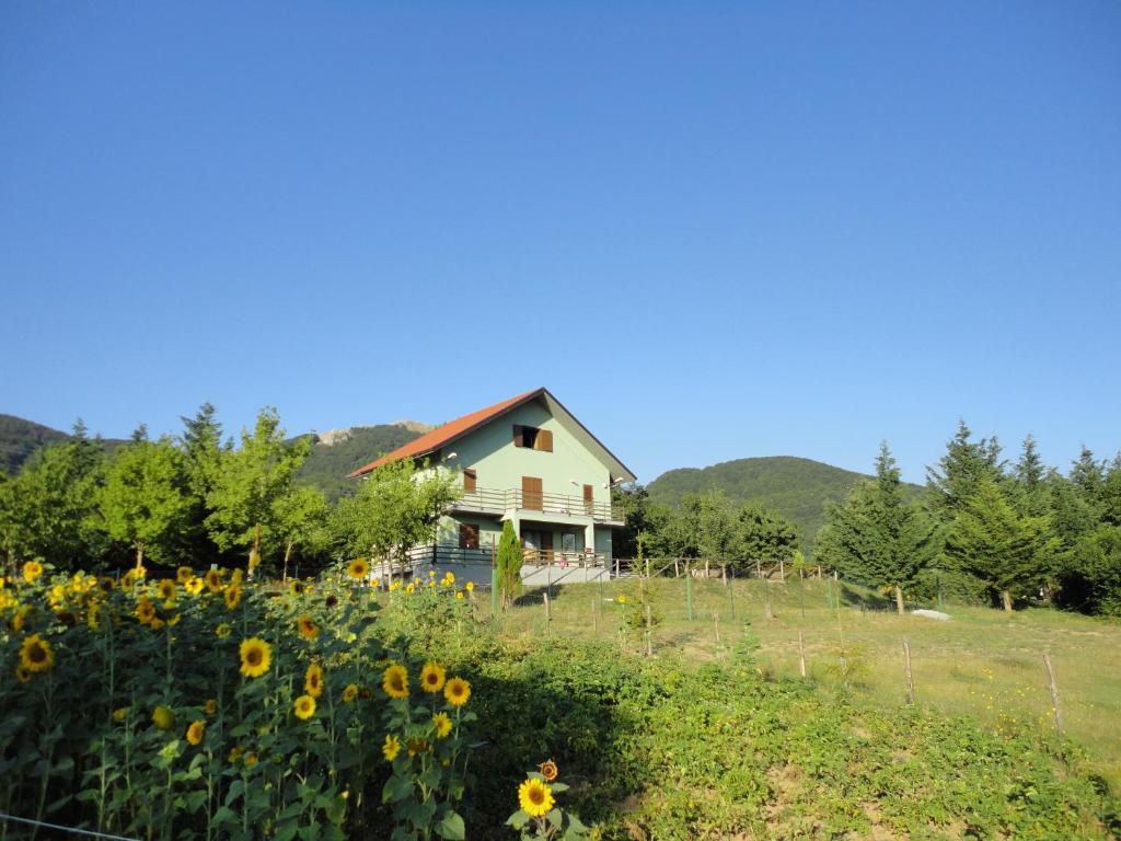une maison sur une colline avec un champ de tournesols dans l'établissement Green House, à Morano Calabro