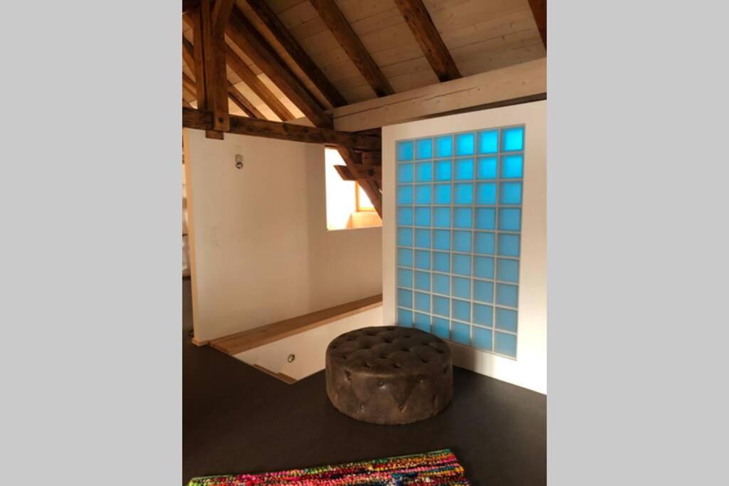 Ospiti di Loft 100m2, im Ökohaus in Susch con animali domestici