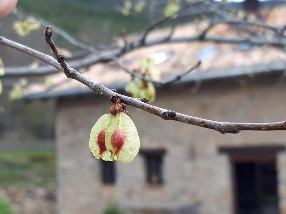 Albergue A'Noguera