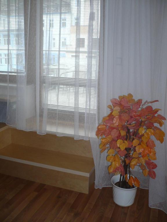 Fotografie z fotogalerie ubytování Apartmán Anežka v destinaci Luhačovice